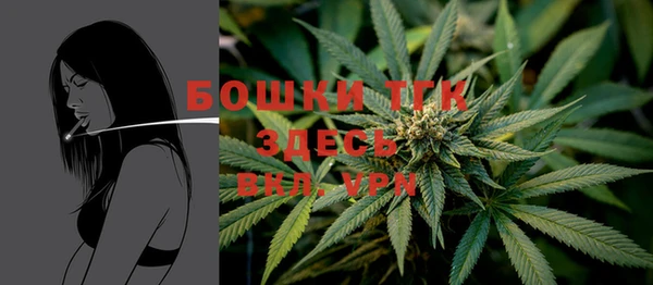прущие грибы Балабаново