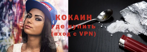 прущие грибы Балабаново