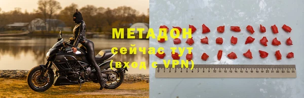 прущие грибы Балабаново