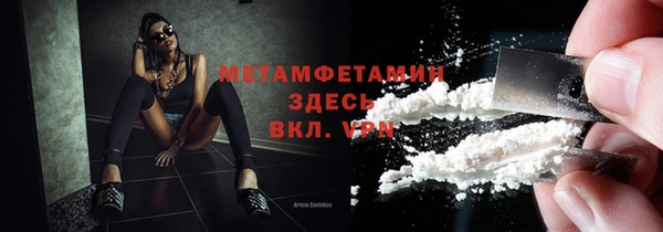 прущие грибы Балабаново