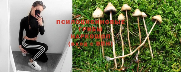 прущие грибы Балабаново