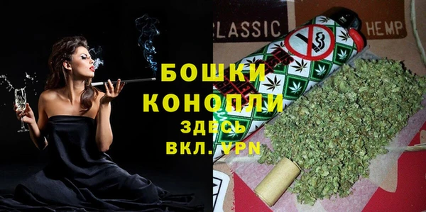 прущие грибы Балабаново