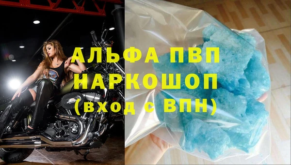 прущие грибы Балабаново