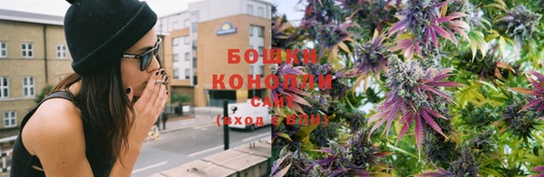 прущие грибы Балабаново