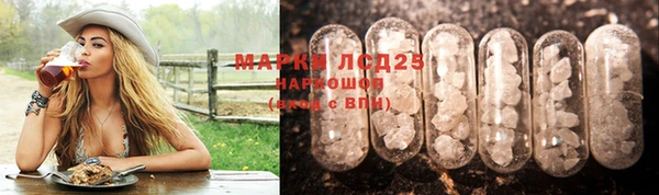 прущие грибы Балабаново