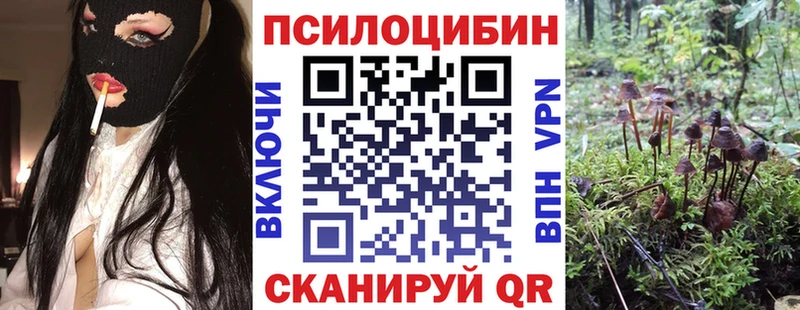 Псилоцибиновые грибы прущие грибы  сайты даркнета официальный сайт  Купино 
